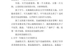 我的天空议论文