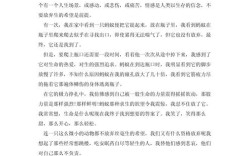 生命何以绽放？绽放需何滋养？