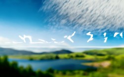 加雪种低压多少钱？2024最新价格参考