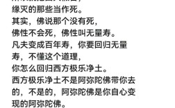 佛教议论文，千年智慧，何以解现代困局？
