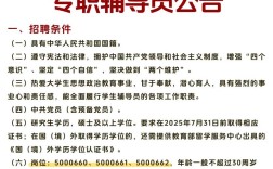 辅导的公告是什么？