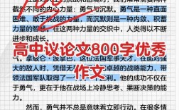 议论文的核心论点如何确立？