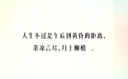 徐志摩议论文有何独特思想与文风？