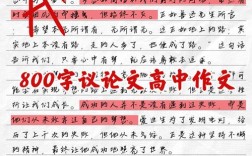 引经据典的议论文如何有效支撑论点？