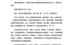 最美的相遇作文议论文