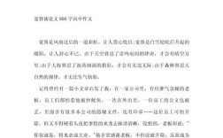 宽容议论文论据的论点