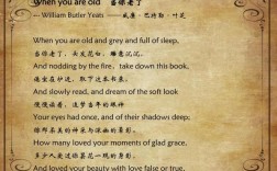 手挽手议论文西雅图，如何用团结书写城市共生答卷？