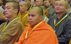 法师辅导前行133讲了什么关键内容？