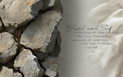 坚硬和柔软议论文