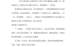 成长路上无捷径议论文