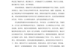 乐观心态，真能照亮人生前路吗？