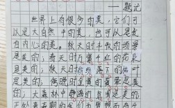 身边的美，究竟藏在哪里？
