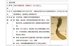 八年级上册生物辅导，如何高效提分？