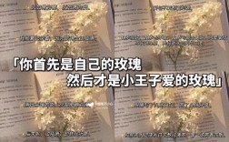 玫瑰为何是小王子的永恒羁绊？