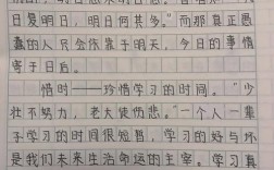 如何珍惜时间，才能不负韶华？