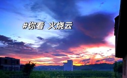 小学生心理辅导札记