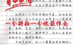 耕耘与收获是否必然成正比？