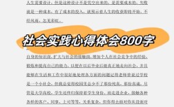 实践如何成为认知的试金石？