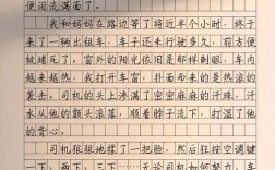 温暖为何能成为穿越寒冬的力量？