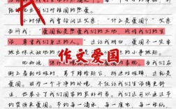 爱国高考满分议论文，何为满分爱国？