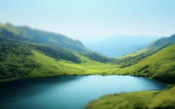 冰箱积水盘怎么取？简单步骤轻松解决！