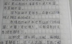 和平之路，何以在纷争中永恒？