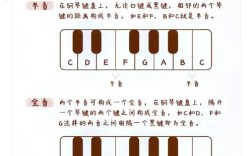 音乐乐理辅导，怎么学才高效？