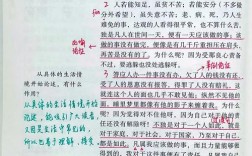 读课外书的议论文