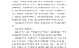 我向往的生活议论文