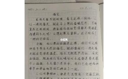 偏见议论文高中800字