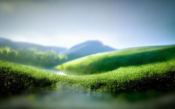 珠海橱柜门定制价格多少