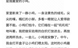 小鸡问母鸡 议论文