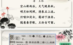 5年级语文辅导视频怎么选？