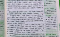 执着是美德还是枷锁？