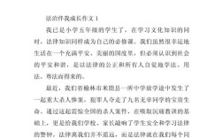 关于法治的议论文