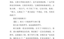 丰收仅是粮食满仓吗？