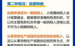 一般纳税人辅导期转正