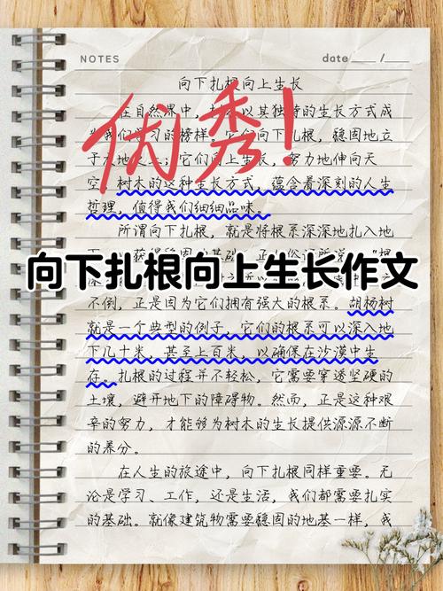 何为向上之真义？如何行稳向上之路？-图2