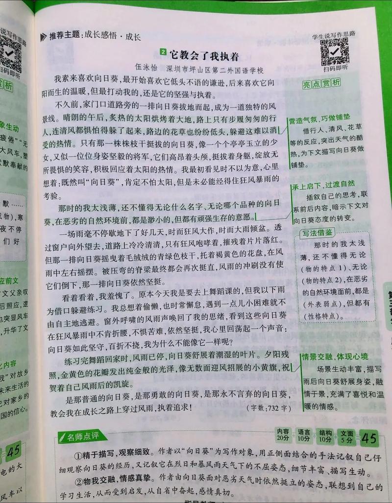 执着是美德还是枷锁?-图1 执着是美德还是枷锁?-图1