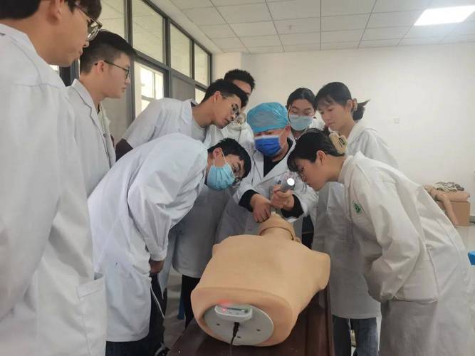 中医助理医师辅导,如何高效备考?-图1 中医助理医师辅导,如何高效备考?-图1