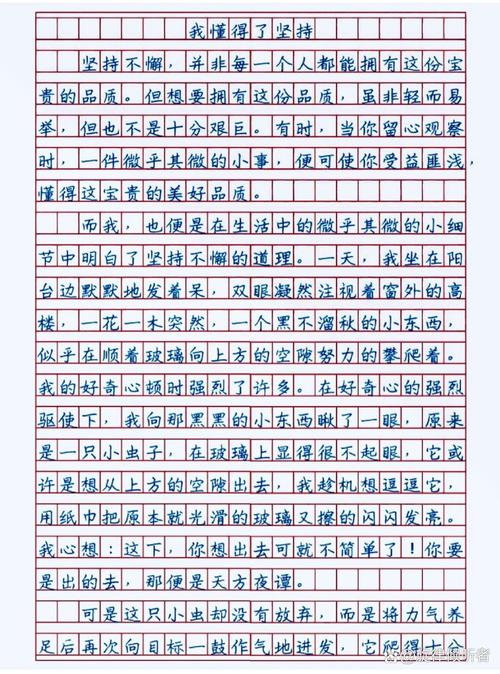 坚持作文议论文开头-图2