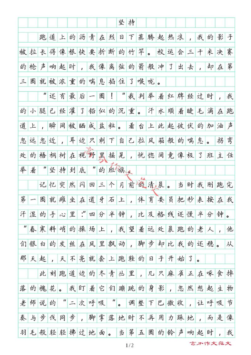 坚持作文议论文开头-图3