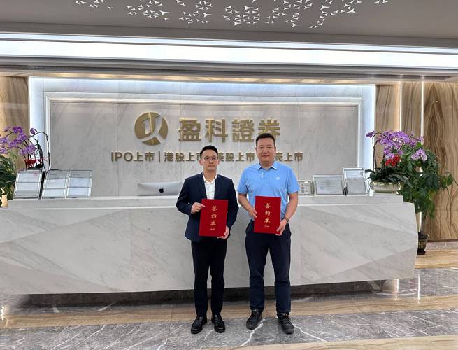 企业上市辅导公司-图1