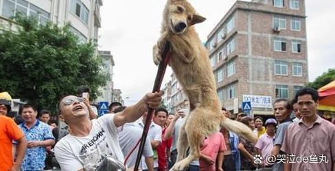 玉林狗肉节,传统还是残忍?争议背后谁之过?-图1 玉林狗肉节,传统还是残忍?争议背后谁之过?-图1