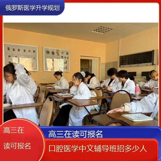 中文辅导如何提升学习效果？-图2