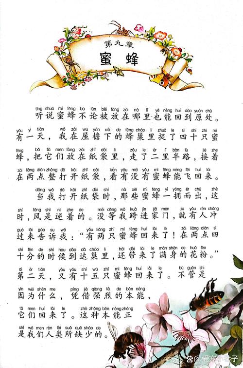 蜜蜂精神为何值得人类学习？-图2