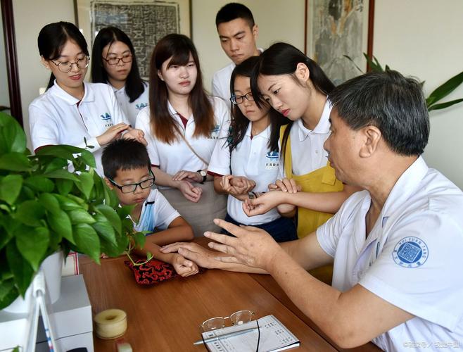 中医助理医师技能辅导班有何高效备考秘诀？-图3