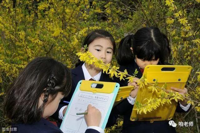 课外辅导藏着什么秘密？-图2