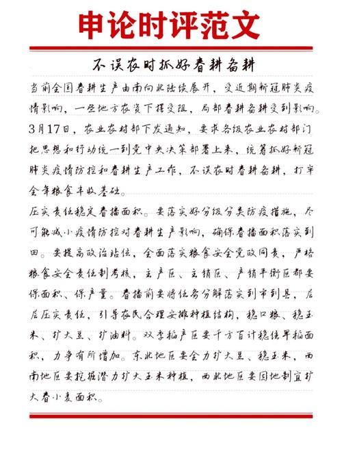 时评议论文，如何精准锚定社会痛点？-图1