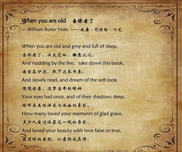 手挽手议论文西雅图，如何用团结书写城市共生答卷？-图1